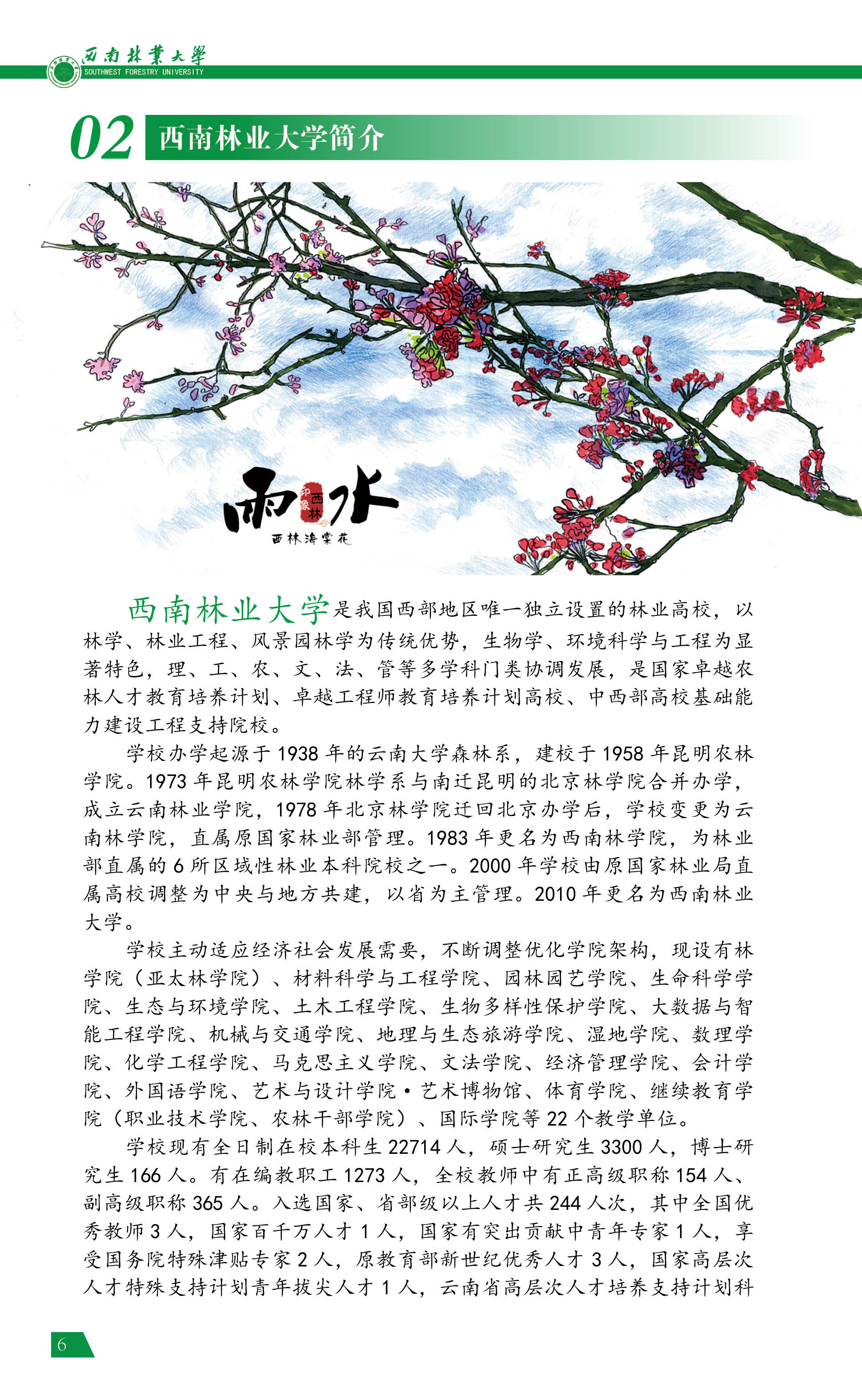 ִ󱨿ָϣ2022棩6