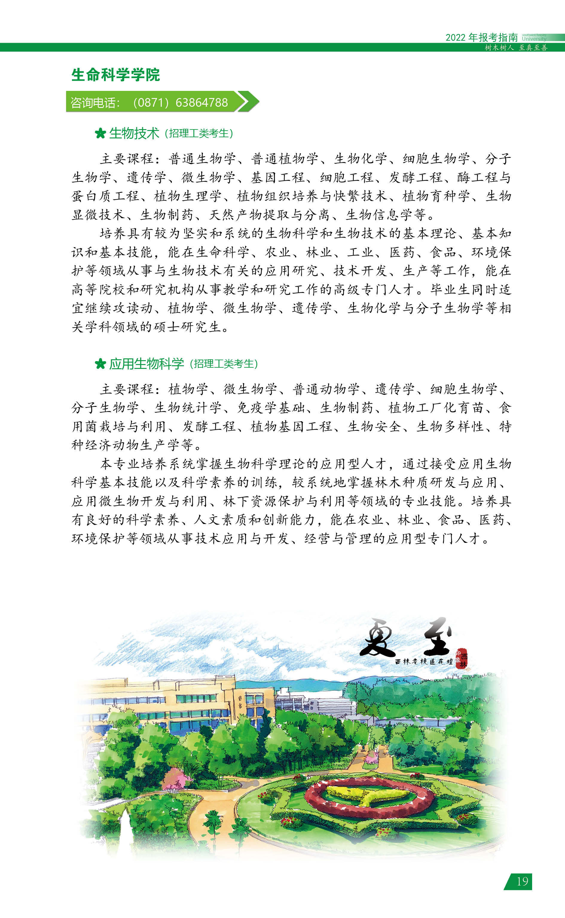 ִ󱨿ָϣ2022棩19