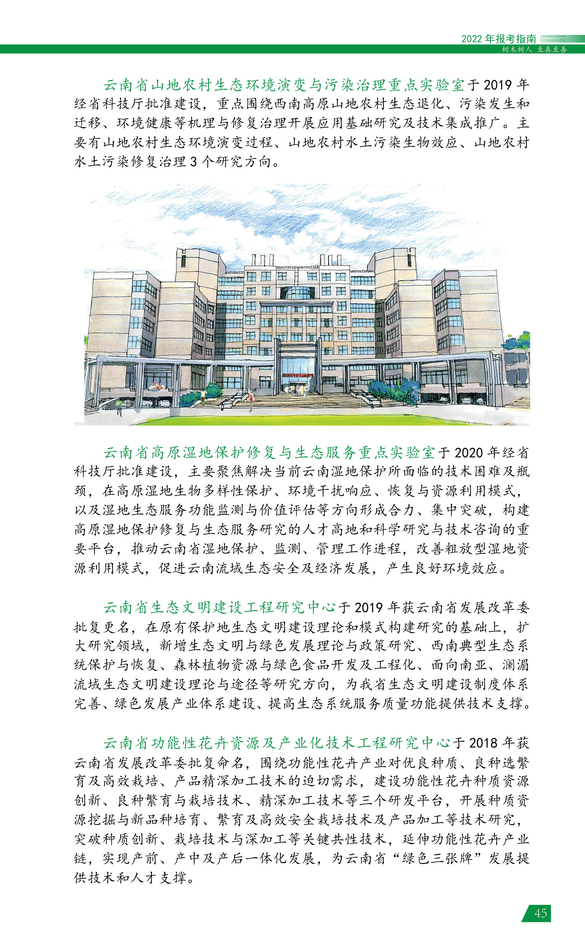 ִ󱨿ָϣ2022棩45