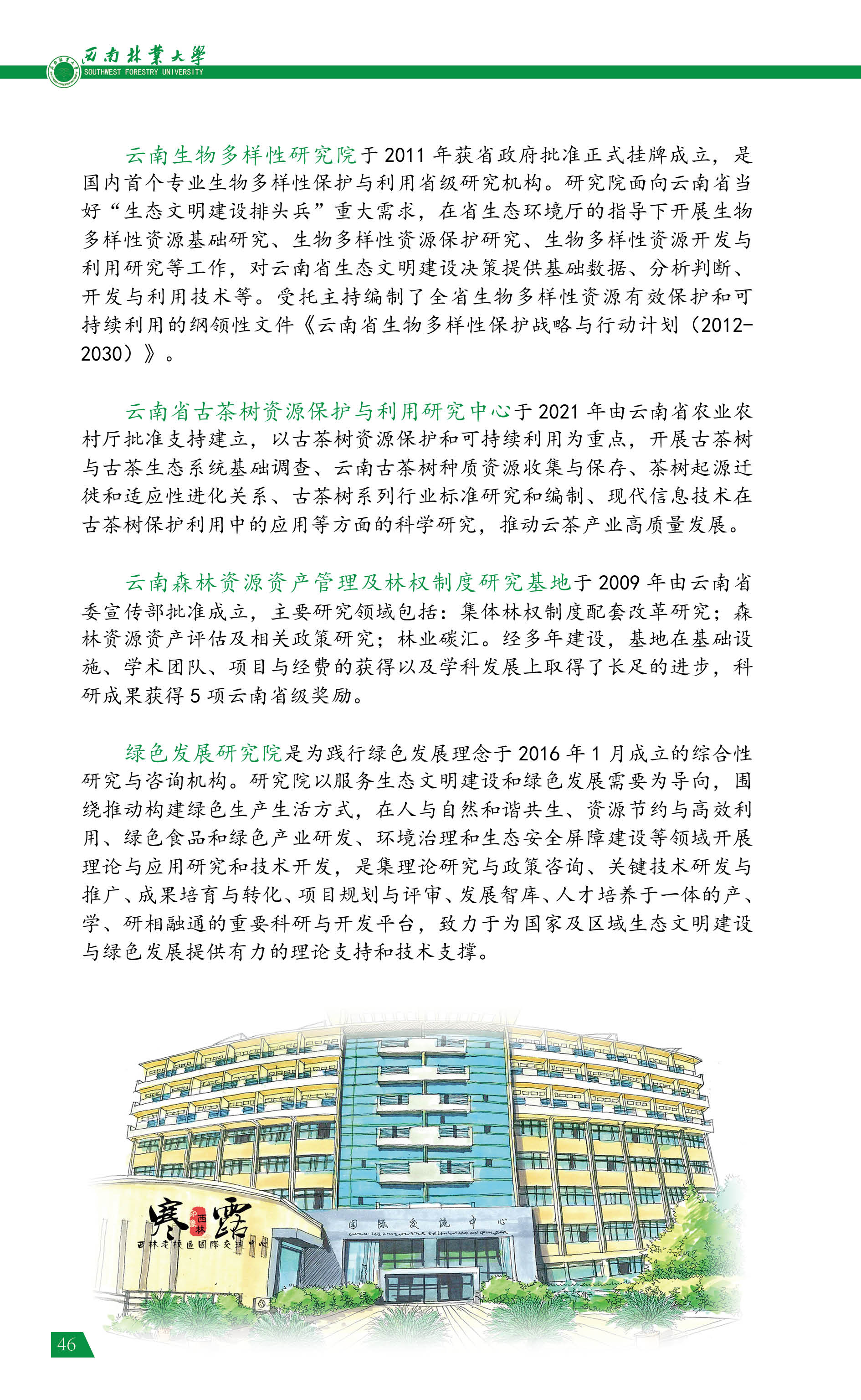 ִ󱨿ָϣ2022棩46